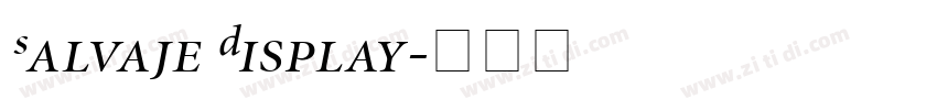 Salvaje Display字体转换